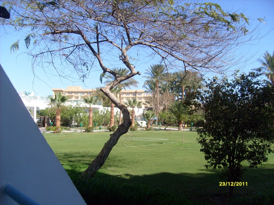 Blick vom Balkon Shams Safaga Resort