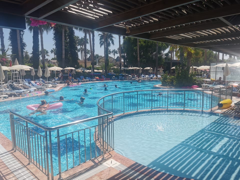 Pool Trendy Palm Beach (Adults Only, 16+)