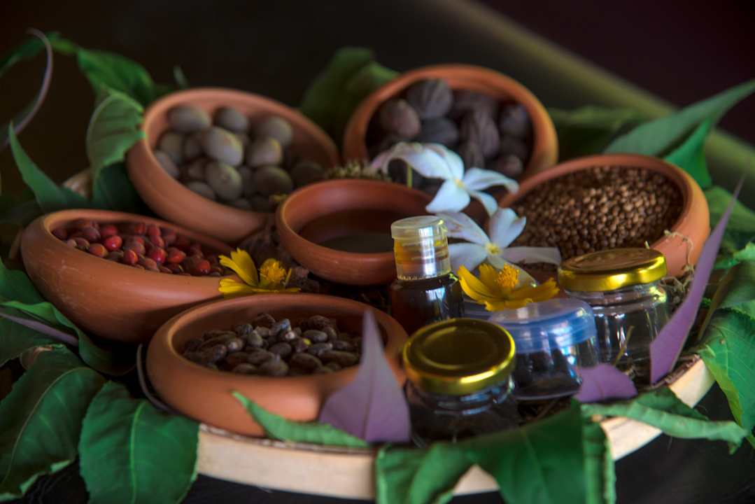 Sonstiges Celestia Ayurveda Resort