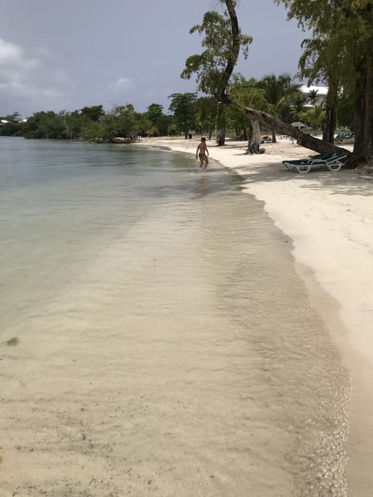 Strand Hotel Riu Negril