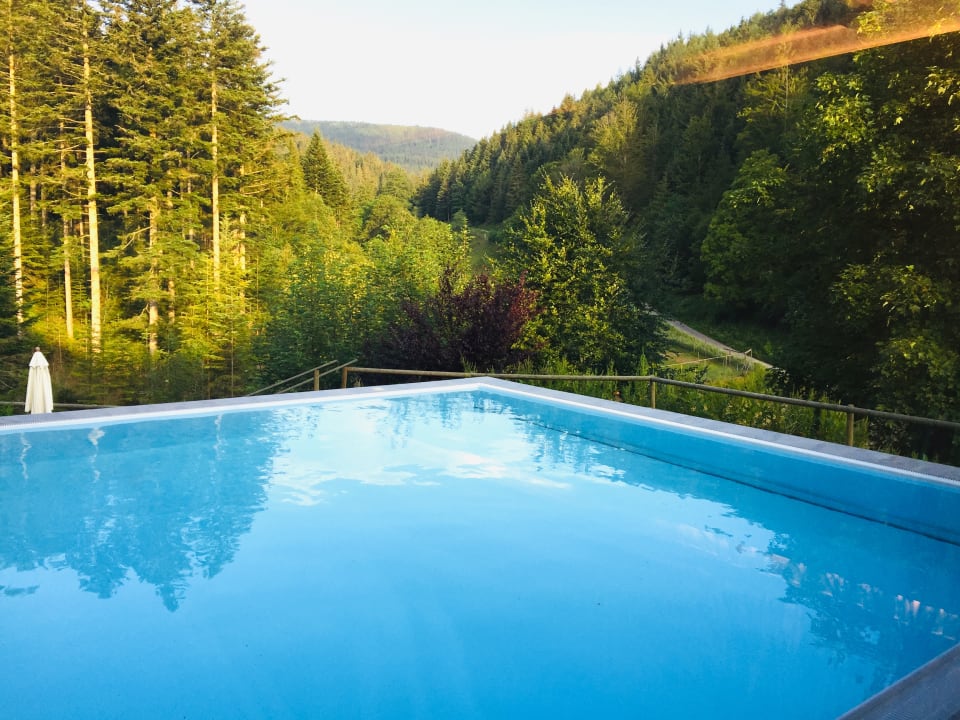 Pool Wellnesshotel Forsthaus Auerhahn