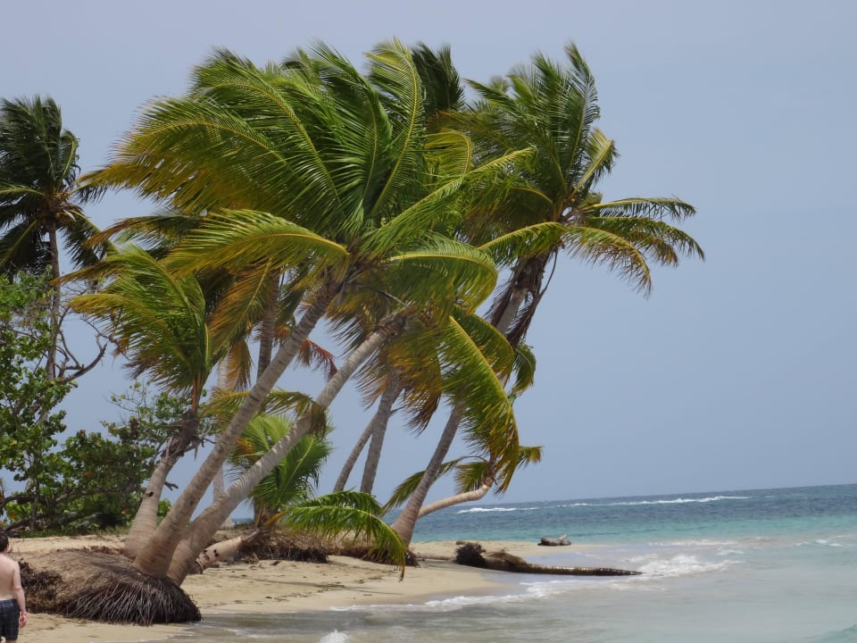 Grand Bahia Principe El Portillo Bahia Principe Grand El Portillo