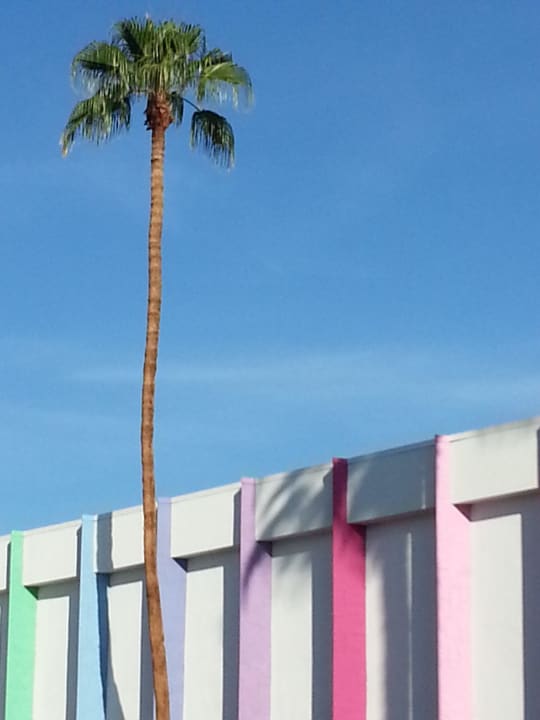 Aussenansicht Joie de Vivre Hotel The Saguaro Palm Springs