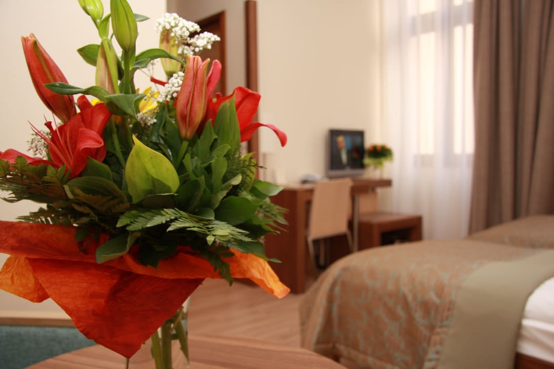 Zimmer Hotel Bristol