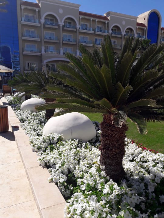 Gartenanlage Premier Le Reve Hotel & Spa