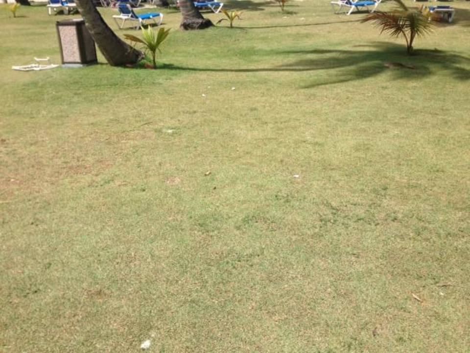 Müll Wyndham Alltra Samana