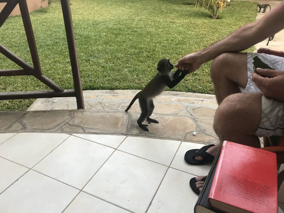 Sonstiges Neptune Village Beach Resort & Spa