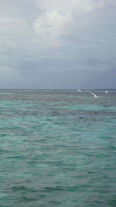 Wunderschönes Meer Mirihi Island Resort