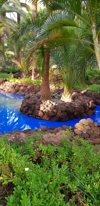 Gartenanlage Hotel Riu Palace Oasis