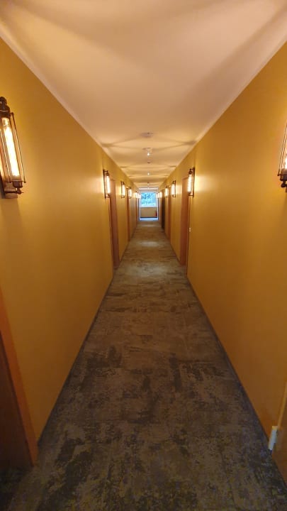 Zimmer Heidekönig Hotel Celle