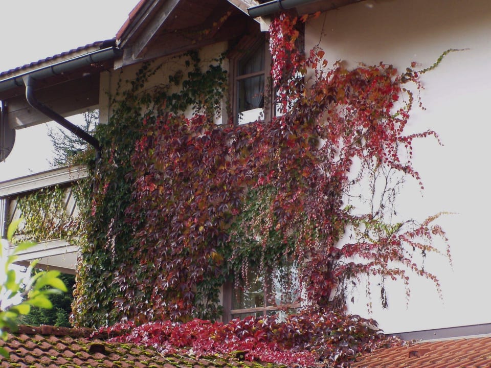 Goldene Oktobertage Wohlfühlhotel zur Post