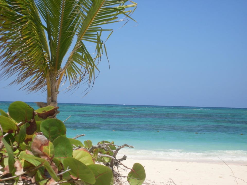 Strandeindrücke Hotel Grand Palladium Palace Resort, Spa & Casino