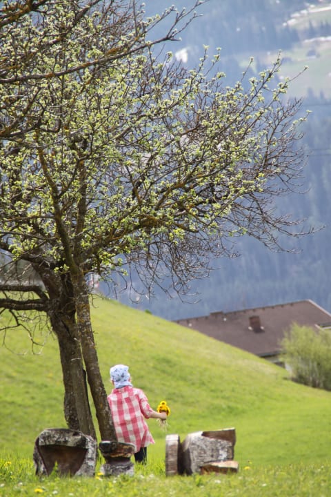 Ein herrlicher Ausblick auf die Berge! Romantische Appartements Sinnhubbauer