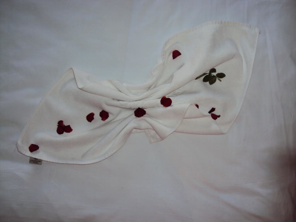 Meine Rosenblätter von der Rose  Hotel Rosa Beach