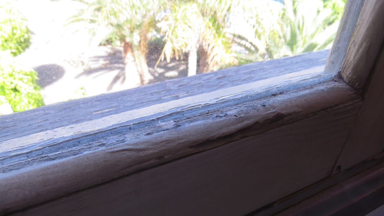 Zimmer allsun App.-Hotel Albatros