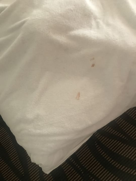 Sonstiges TUI MAGIC LIFE Beldibi +16