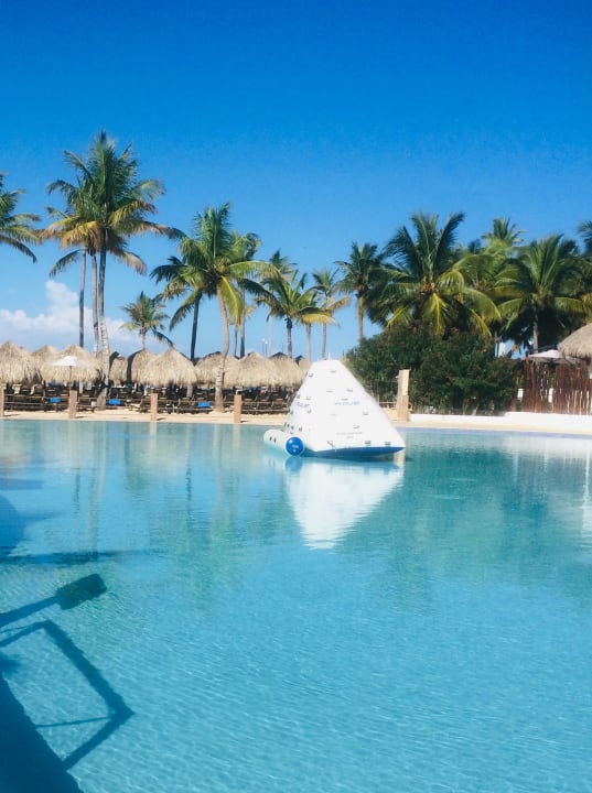 Pool Dreams Dominicus La Romana