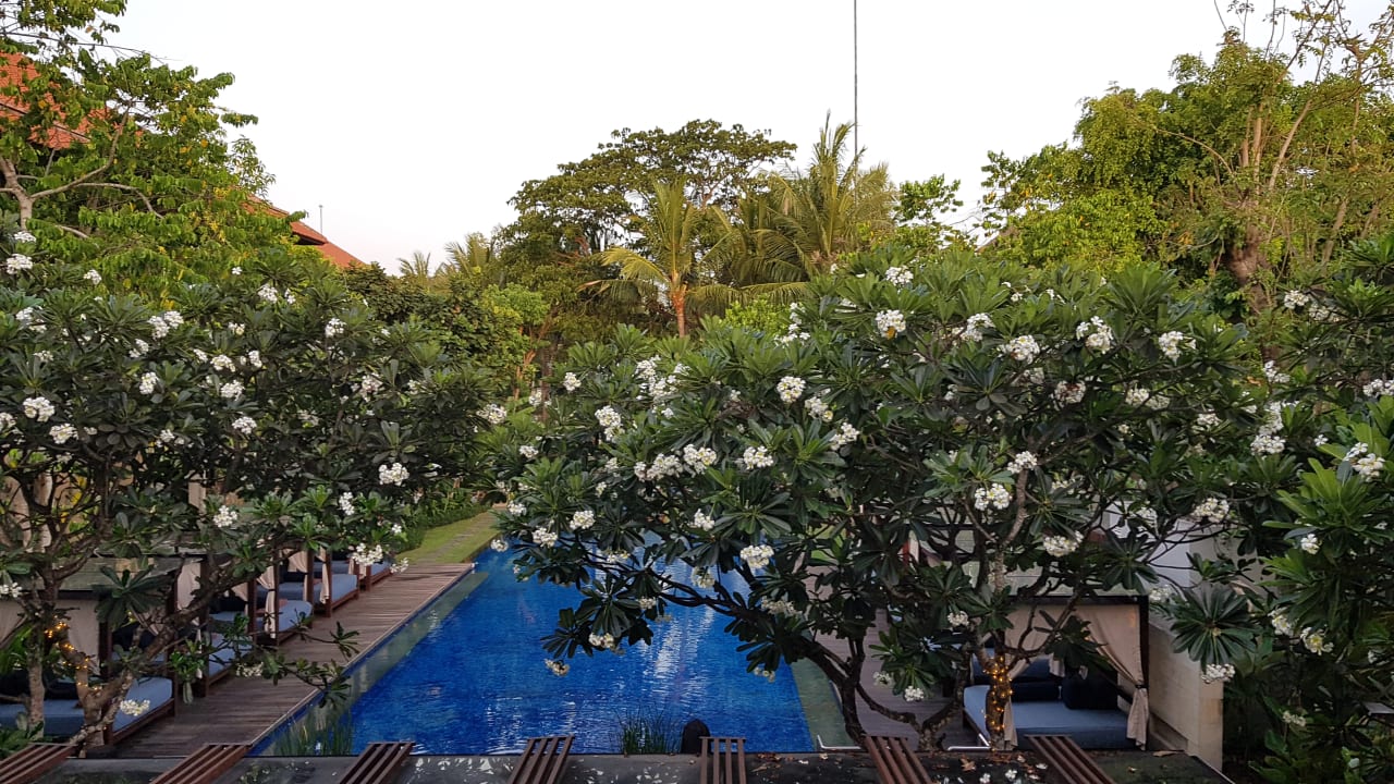 Ausblick Conrad Bali
