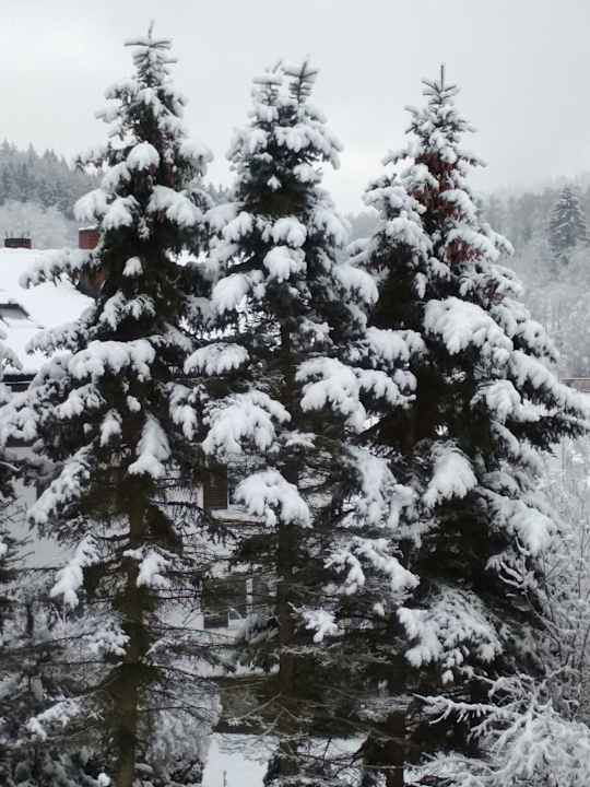 Ausblick Hotel Bergknappenhof