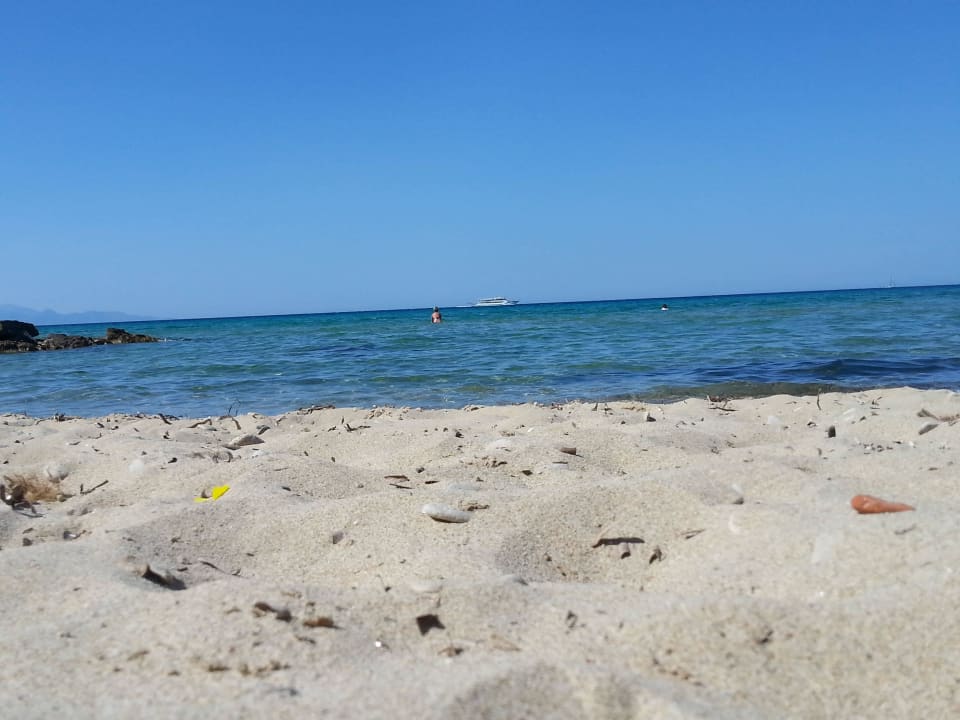 Piasczysta plaża obok hotelu AluaSoul Zakynthos - Adults only