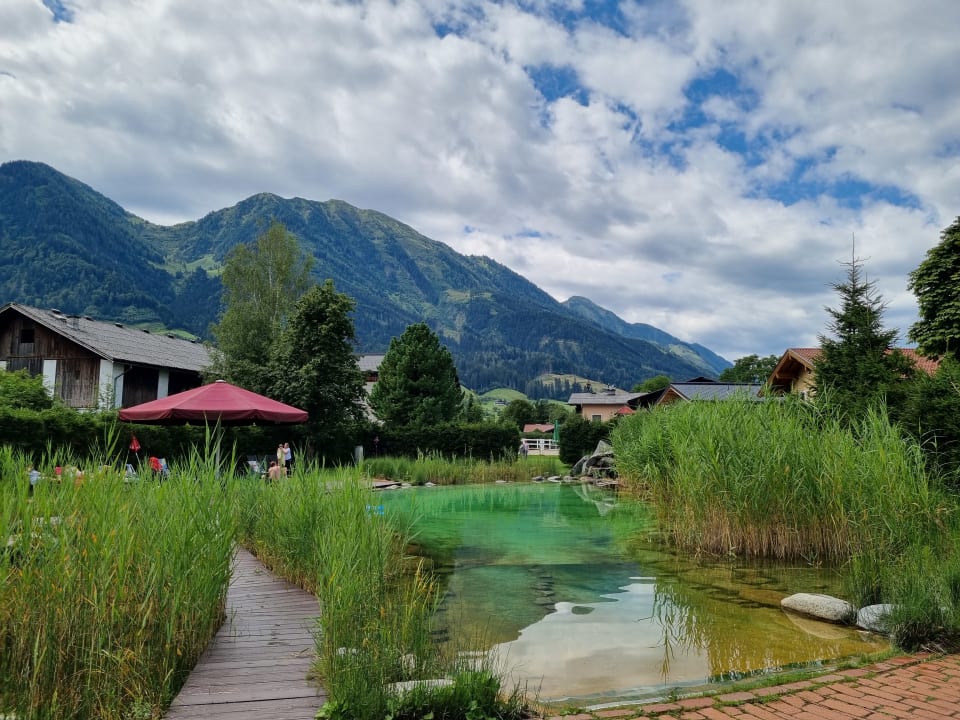 Pool Lerchs Landhotel
