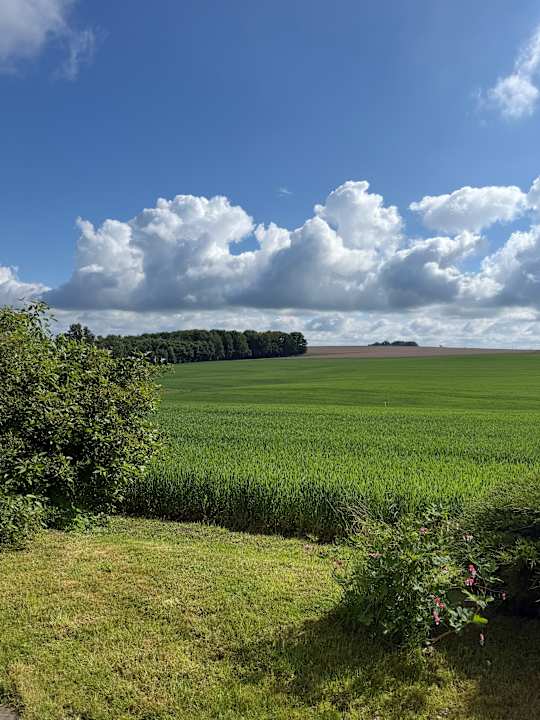 Außenansicht Pension Zu den drei Linden