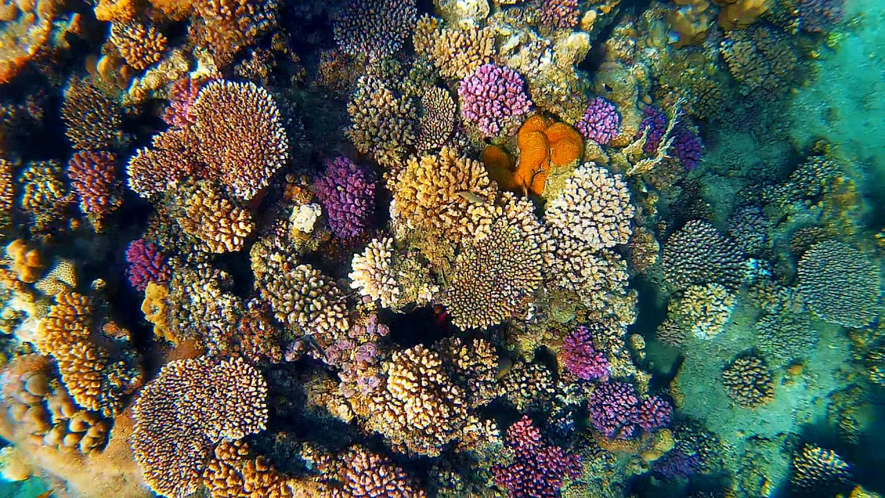 Sport & Freizeit Marina View Port Ghalib Hotel