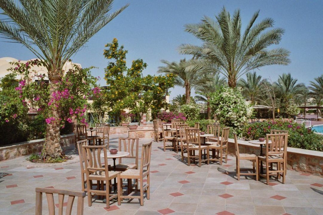 Terrasse Hotel Jaz Solaya