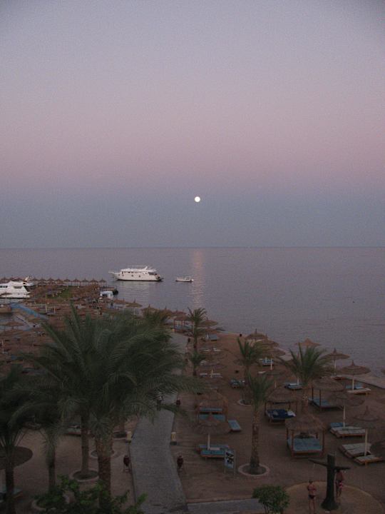 Auch der Mond meint es gut Beach Albatros Resort