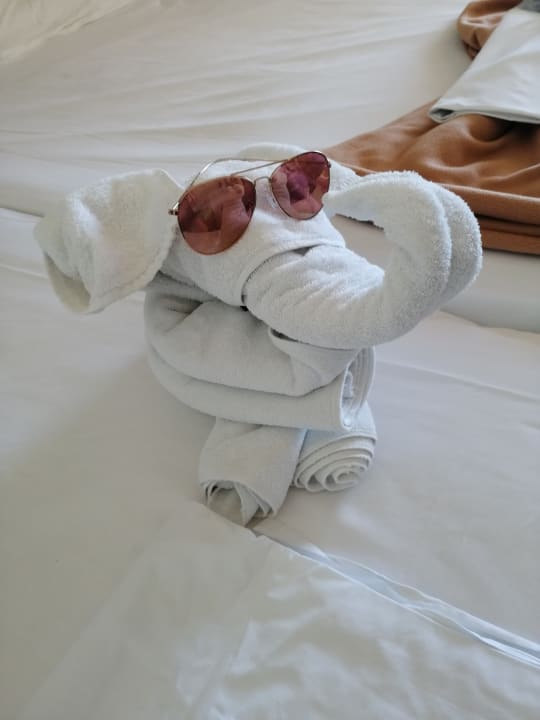 Zimmer Sol Rio De Luna y Mares