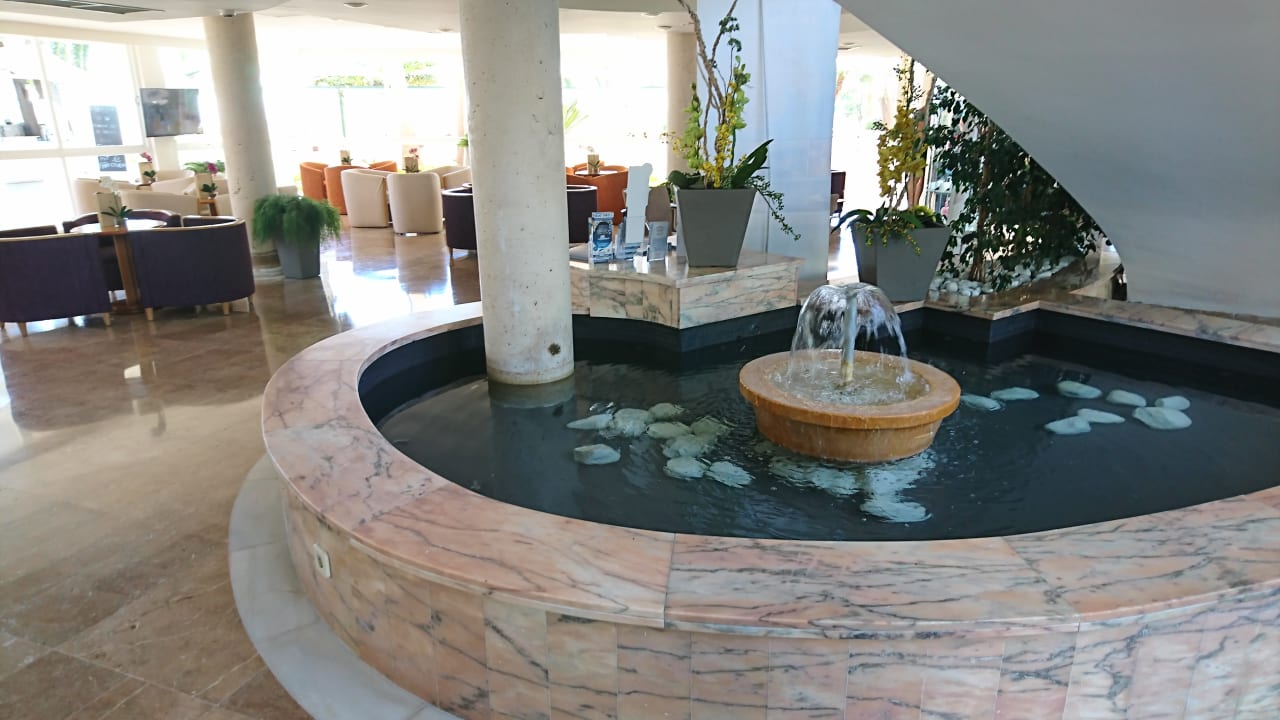 Lobby allsun App.-Hotel Orquidea Playa