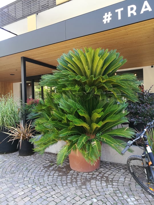 Außenansicht Hotel Traminerhof