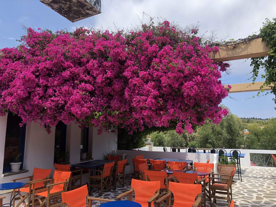 Gastro Ekaterini Hotel