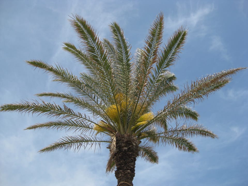 Einfach so, da schön Hotel El Mouradi Mahdia