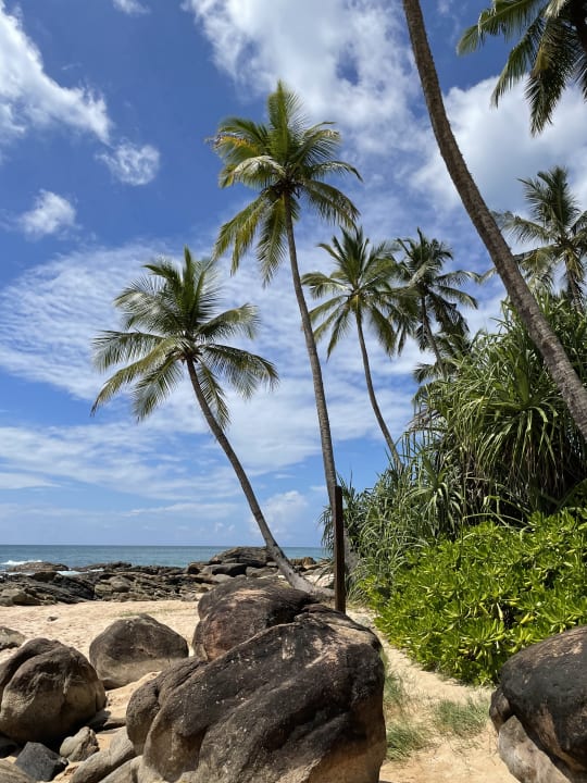 Strand Anantara Peace Haven Tangalle Resort