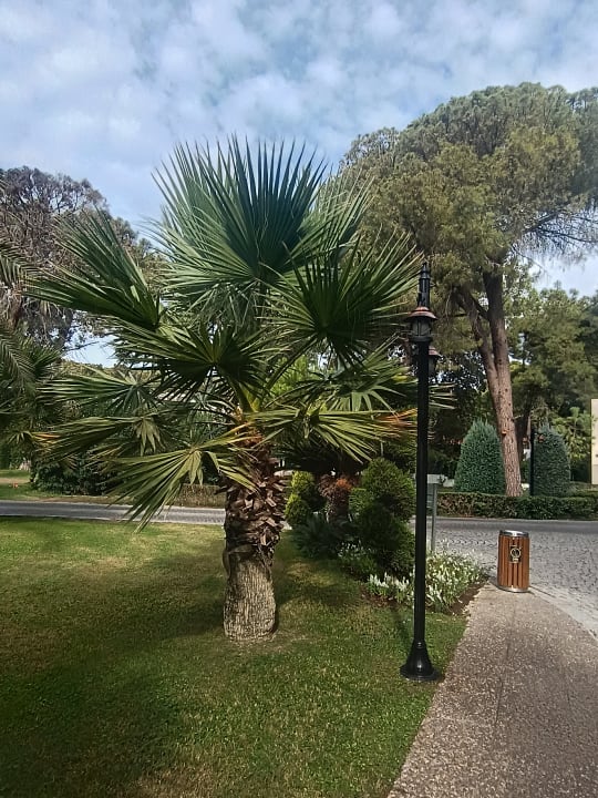 Gartenanlage Arcanus Hotels Sorgun