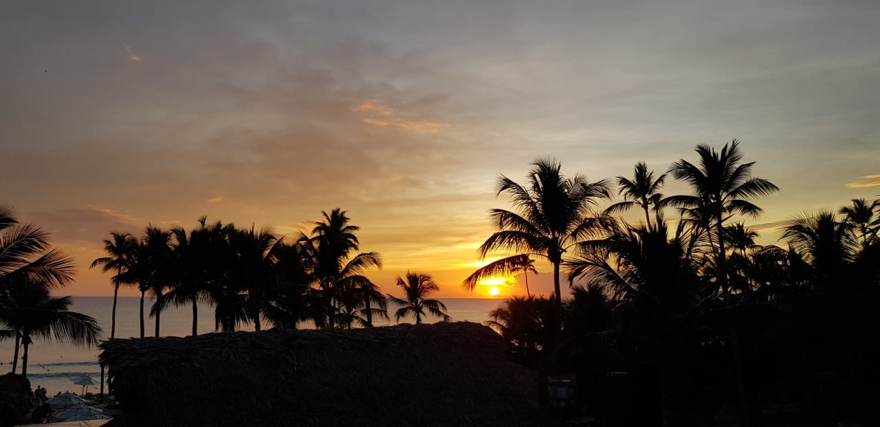 Ausblick Dreams Dominicus La Romana