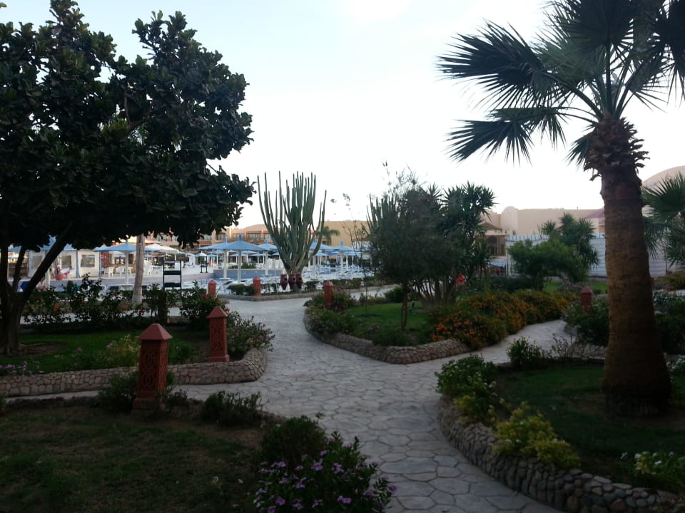 Blick von der Terrasse Ali Baba Palace Hotel