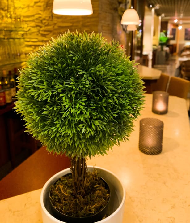 Lobby City Hotel Ost am Kö