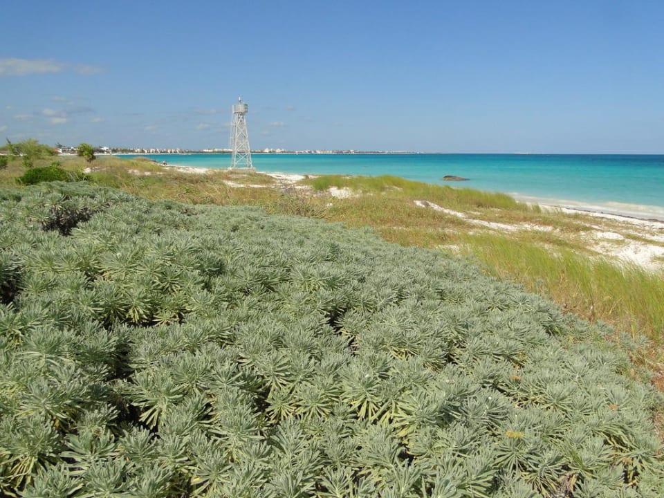 Strand rechts vom Hotel Catalonia Playa Maroma