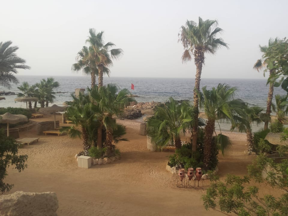 Strand Pickalbatros Citadel Resort