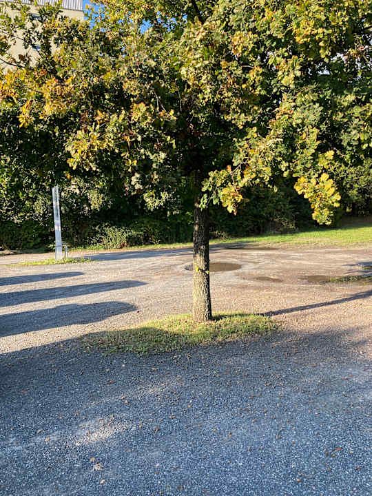 Gartenanlage Best Western Plaza Hotel Zwickau