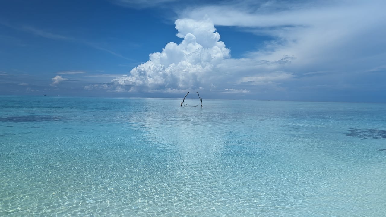 Ausblick Summer Island Maldives