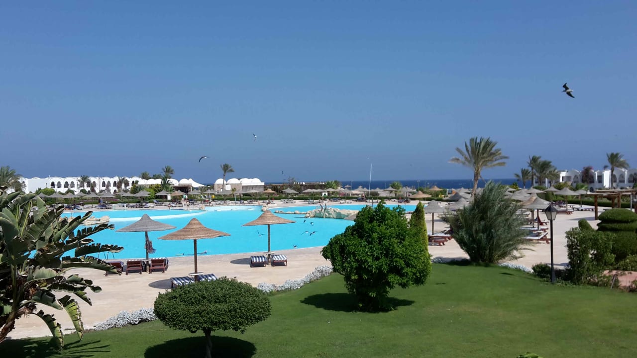 Pool Hotel Gorgonia Beach Resort