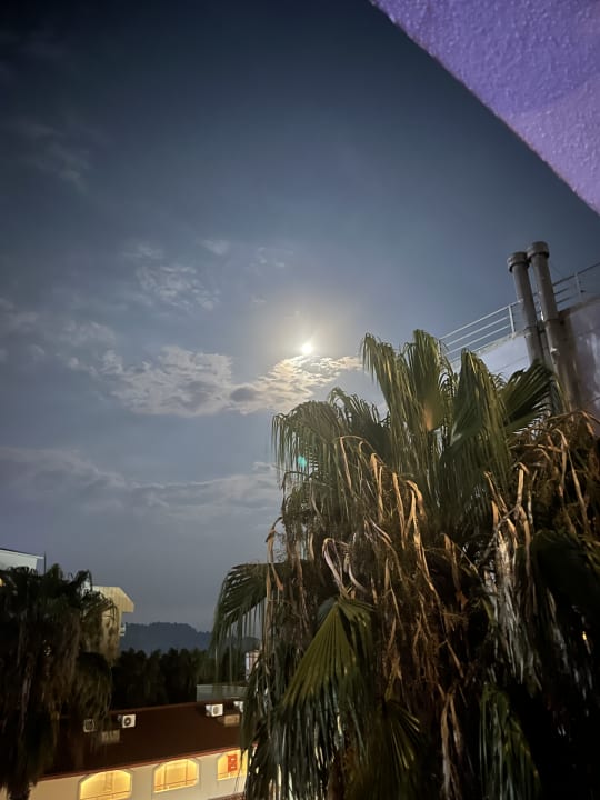 Ausblick Hotel Gardenia Beach