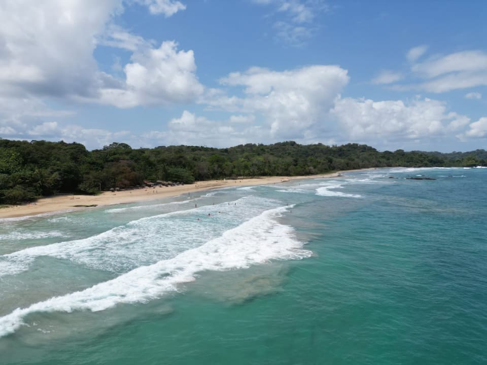 Strand Selina Red Frog