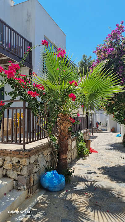 Außenansicht Blue Dreams Resort & Spa