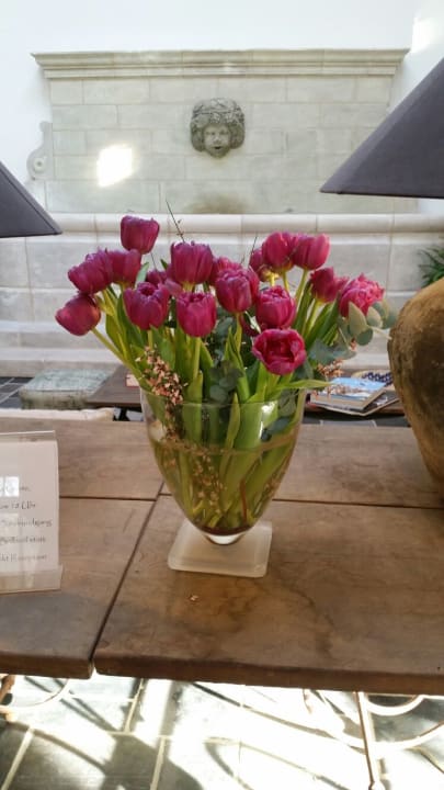 Sonstiges BollAnts Spa im Park