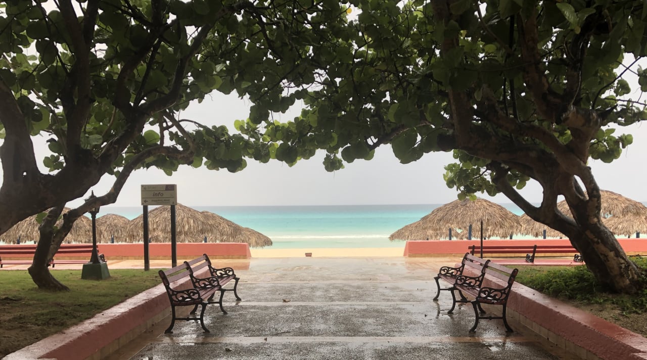 Strand Starfish Cuatro Palmas