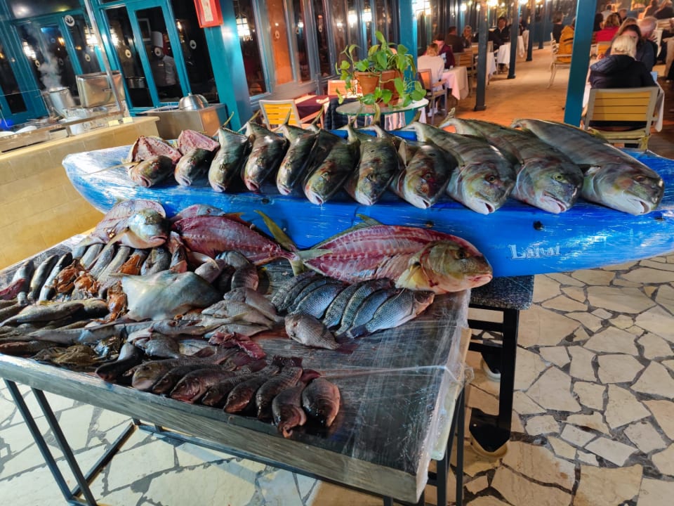 Gastro Club Paradisio El Gouna, Red Sea